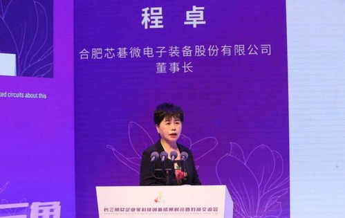 安徽六安女首富程卓發(fā)家史 打造國(guó)產(chǎn)光刻機(jī)龍頭企業(yè),身價(jià)24億元
