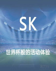 大型公關(guān)活動策劃 從藍(lán)圖到輝煌